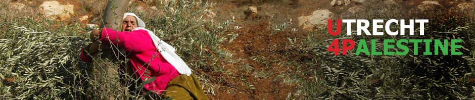 Woman clenching to her olive tree